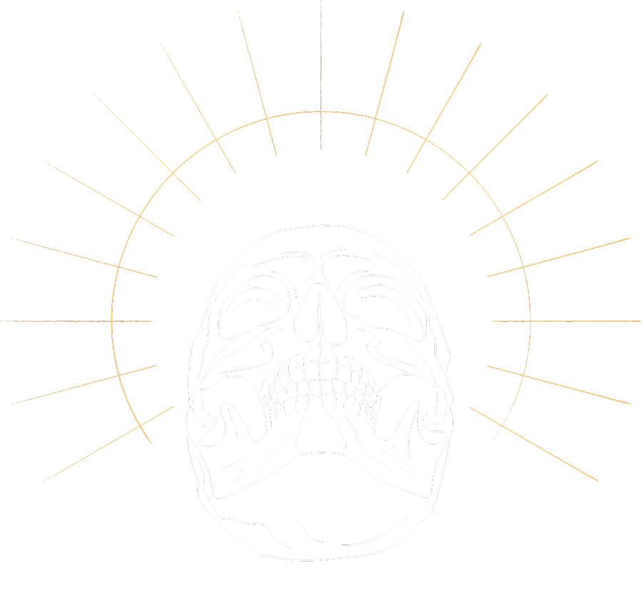 Original grunge skull